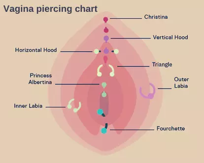 Vagina piercing chart