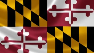 Maryland Tattoo and Piercing Laws for Minors