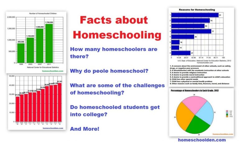 Homeschooling Different Age Groups: Strategies and Challenges
