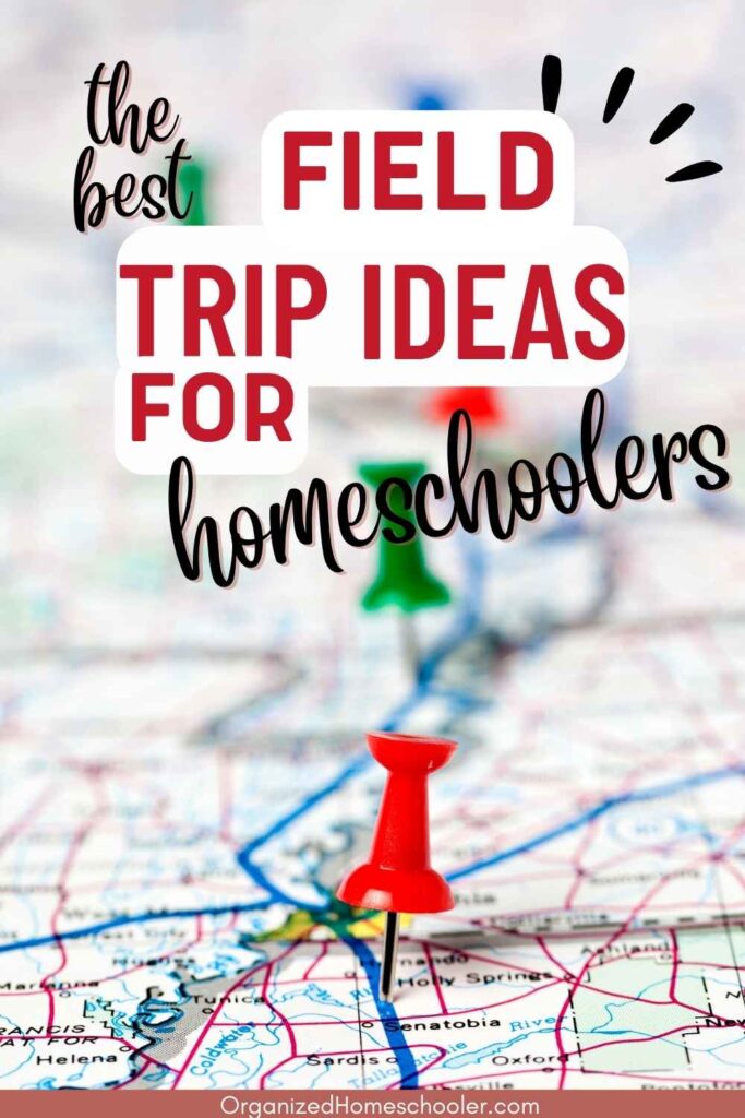 Field Trips and Experiential Learning for Homeschooled Children