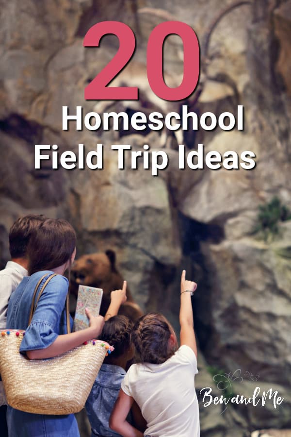 Field Trips and Experiential Learning: Creative Homeschooling Ideas