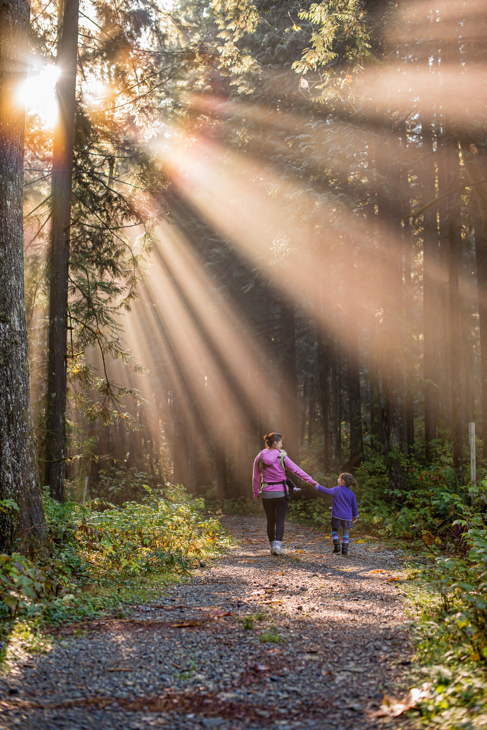 Mother and Daughter Walking in a Forest with Sun Rays