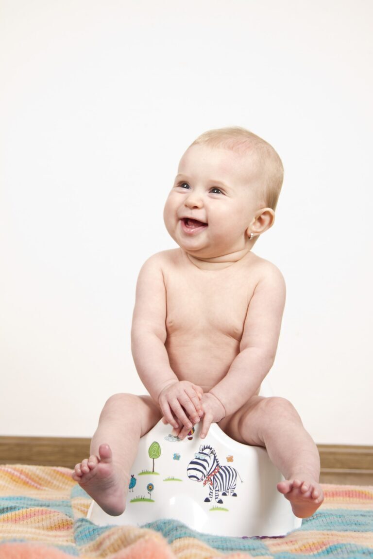 Potty Training 101: Getting Started with Your Toddler